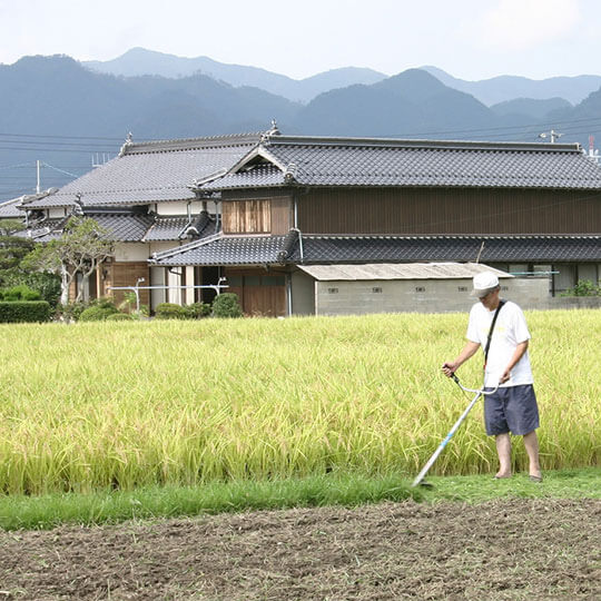 Local Farmer